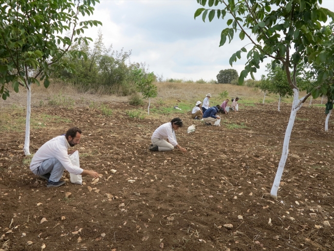 Manyas Gölü yakınlarında 300 bin yıllık olabileceği düşünülen bulgulara rastlandı
